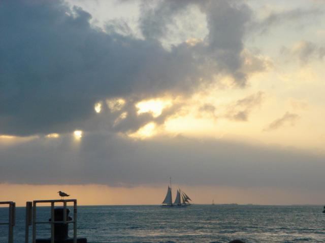 2005/01(Jan)/03(KeyWest)/640x480_2005-01-29 16-46-35.JPG